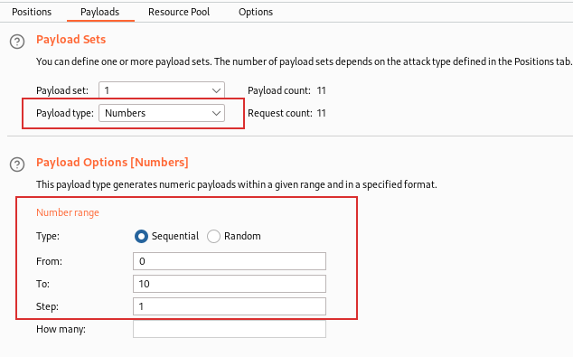 Burp Intruder Configuration