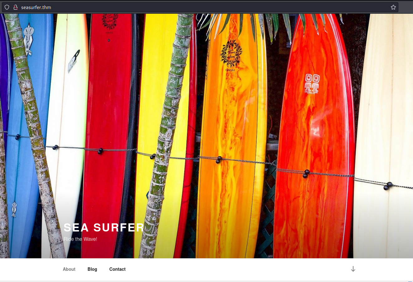 Sea Surfer website